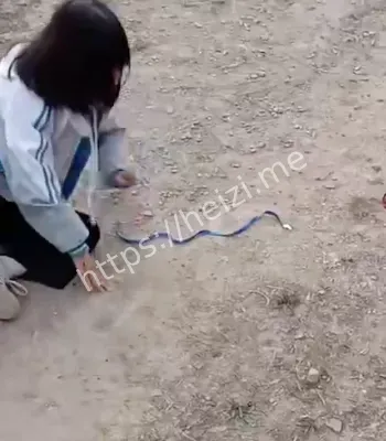 现场视频曝光