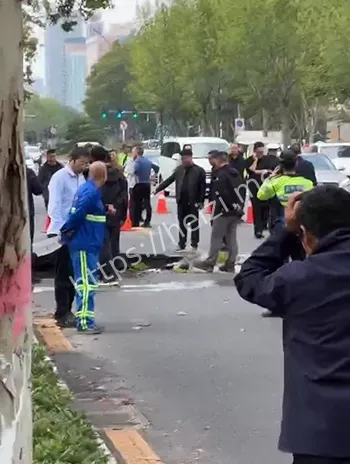 暴雨路基松