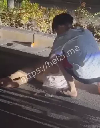 追尾皮卡高速碰撞分析