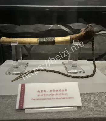 749局揭秘