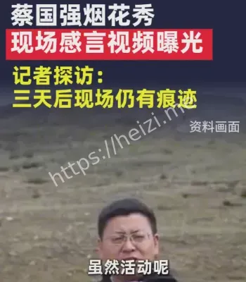 蔡国强烟花秀