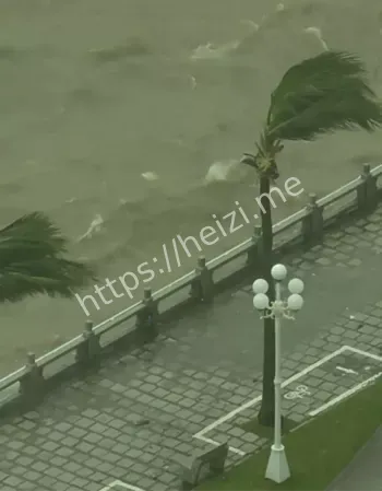 珠海17级阵风