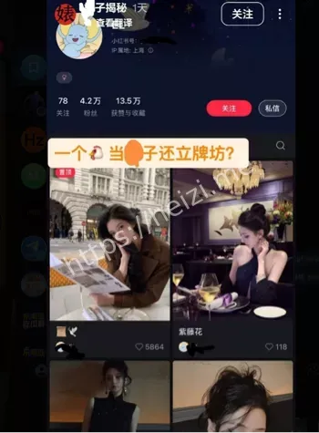 王思聪女网红周薪20万包养