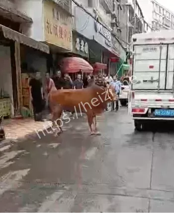 益阳安化