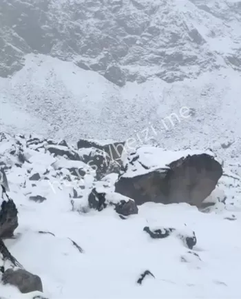 暴雪危机