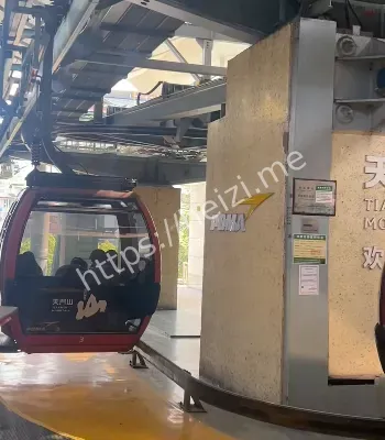 游客高空荡秋千险情