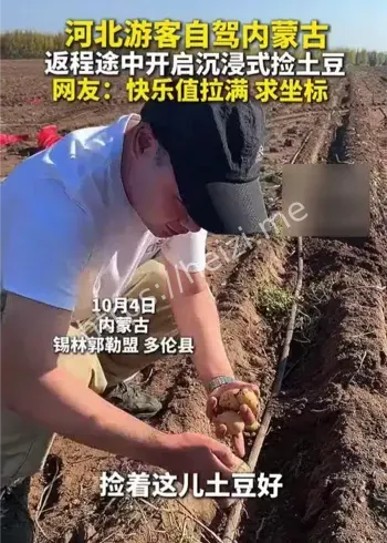 内蒙古游客排队捡土豆事件