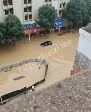 崇左洪灾救援进展