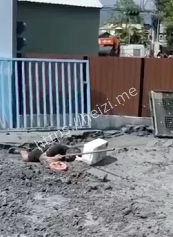 花莲洪灾走秀事件