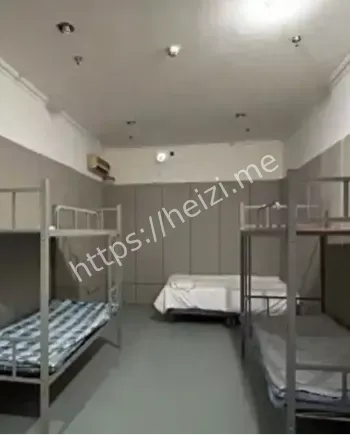 现场拍摄照片