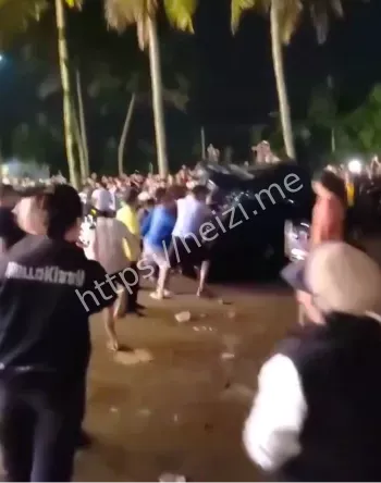 橡胶集团偷砍槟榔树内幕