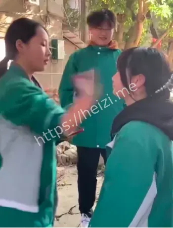 校园霸凌4人被抓