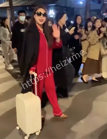 维他命李湘睡衣行李箱