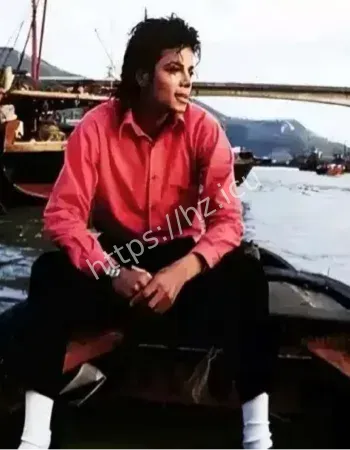 流行天王死亡疑云