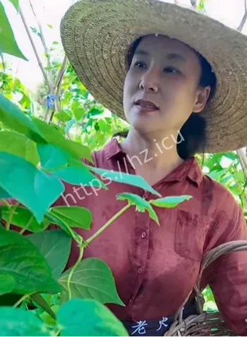 唐鉴军私生活混乱