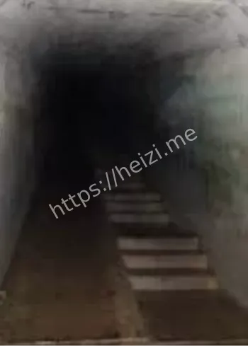 韦弗利山疗养院