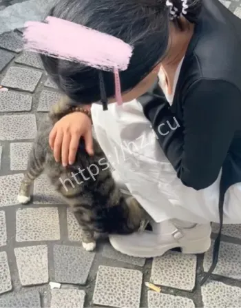 互相录制露脸视频