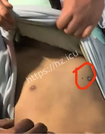 河南新蔡清华园