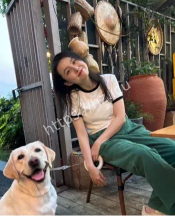 王诺诺曝光证据