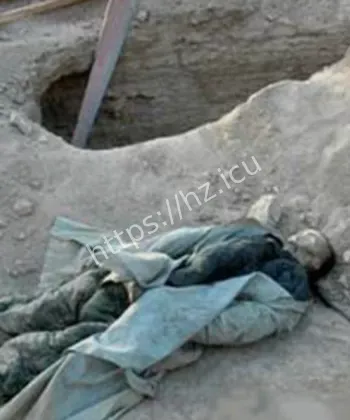 1995年成都僵尸事件