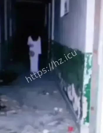 安徽高校现鬼箴言