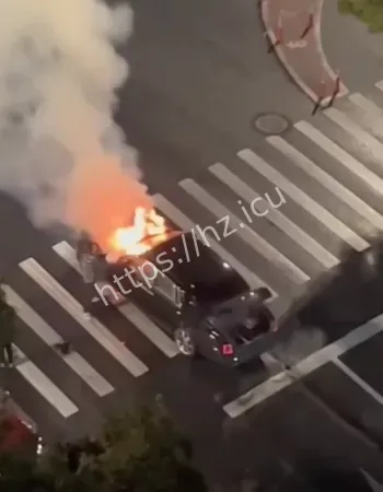 也没能救回爱车