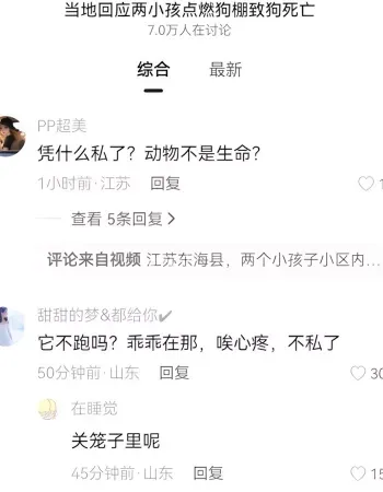 萨摩耶被活活烧死