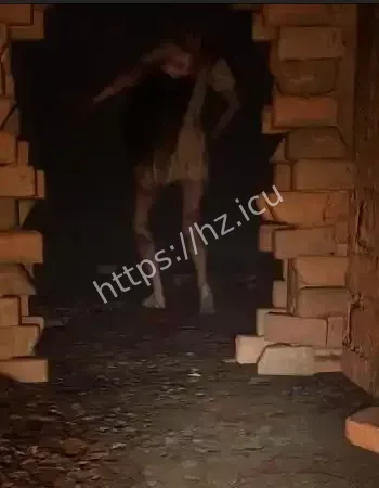 东湖大学锁魂桥