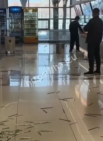 专挑最贵库迪咖啡机砸