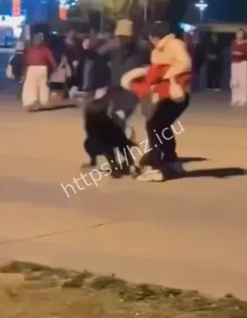 疯狗咬人事件