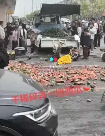 整车西瓜被扔满地