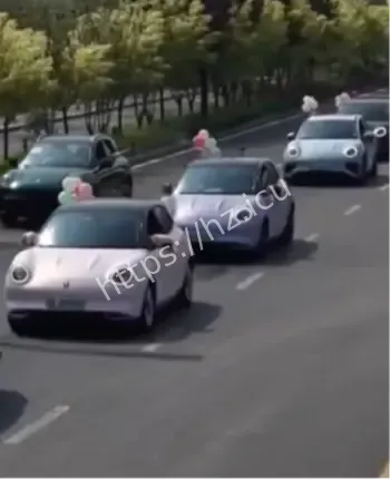 新娘征集欧拉婚车队