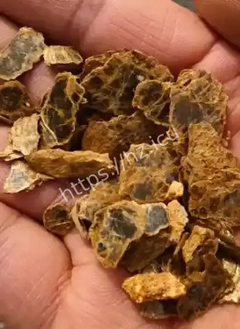 挖野菜挖出金矿