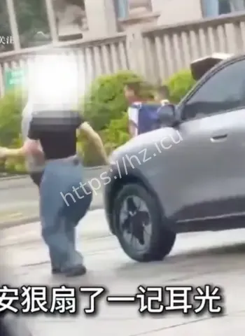 女司机停车被掌掴