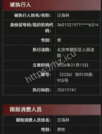 汪海林被限高