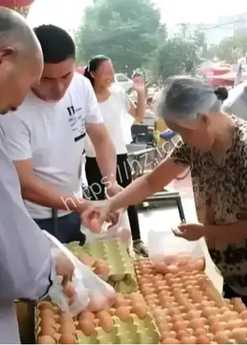老人免费领鸡蛋被骗