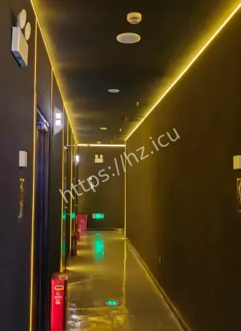 最终栽在了一套江景房里