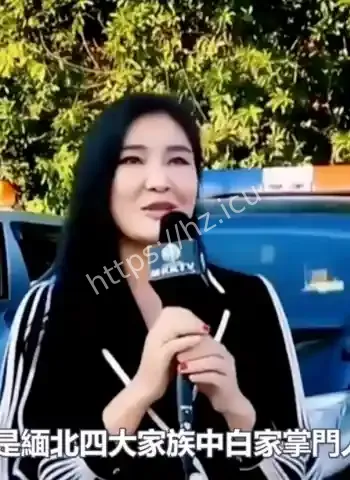 美女是电诈园区大佬