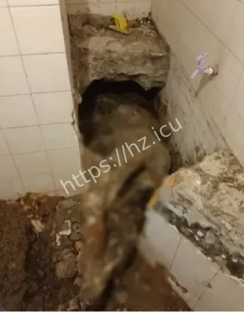 自杀类型利他性自我性