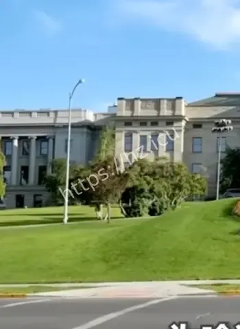 陈楚婷留学被抓