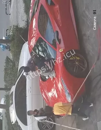 被熊孩子当滑梯玩