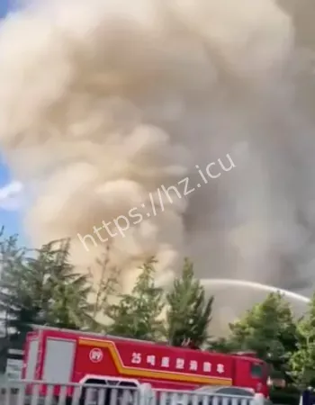 被大火吞噬